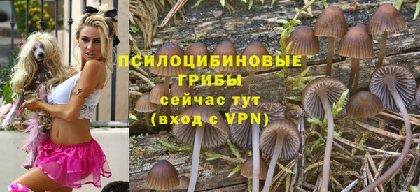 таблы Абаза